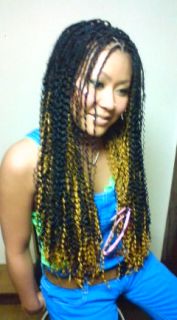 �u���C�Y�̎ʐ^